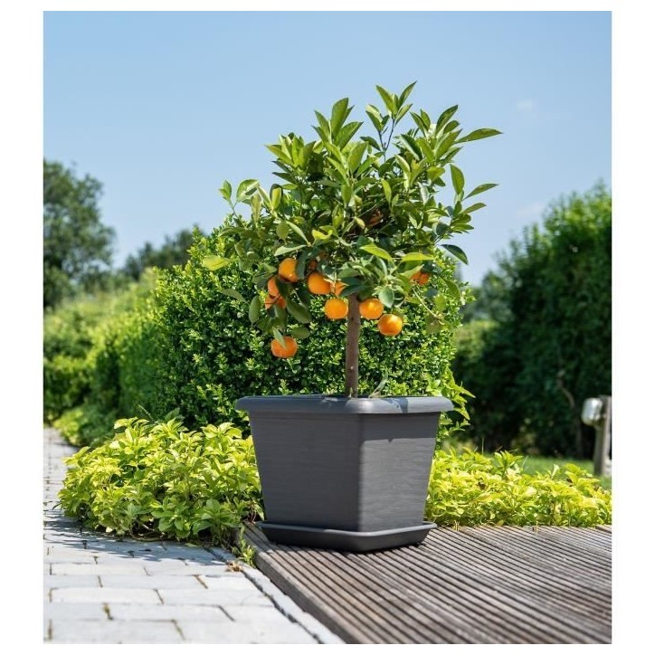 Pot de fleurs carré - GARDEN ID - Teramo noir-anthracite - 40 x 35 cm - Résistant aux Rayures - Effet Pierre - Avec Trous