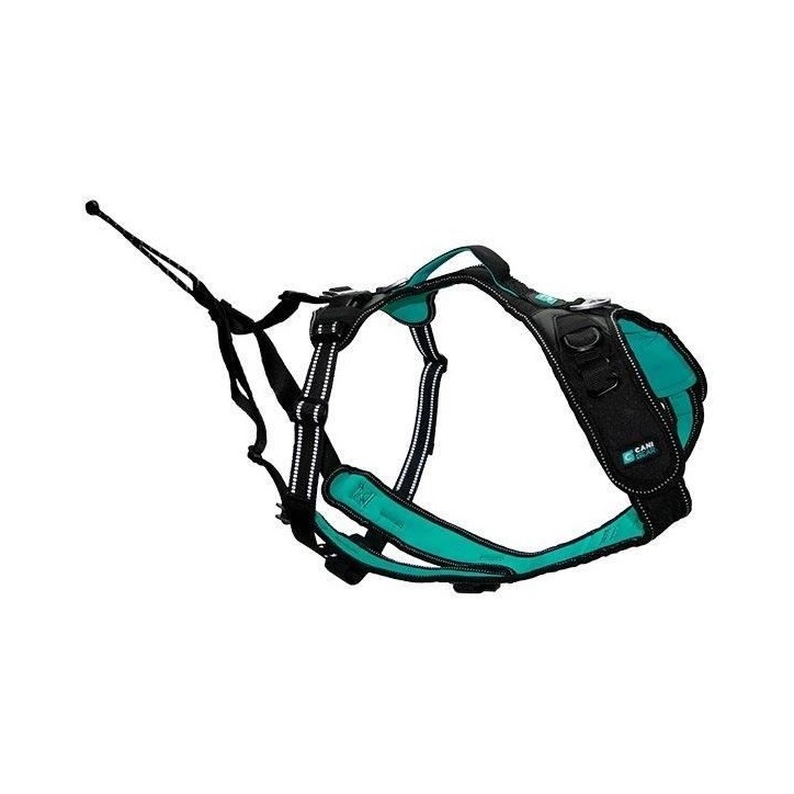 Harnais pour chien - SYMBIOZ - XXS - Noir / Bleu Harnais pour chien - SYMBIOZ - XXS - Noir / Bleu