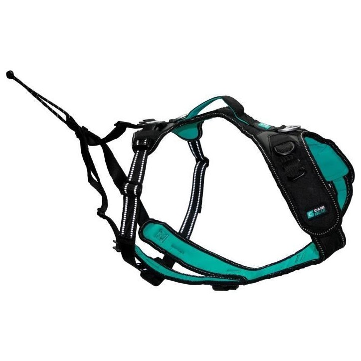 Harnais pour chien - SYMBIOZ - S - Noir / Bleu