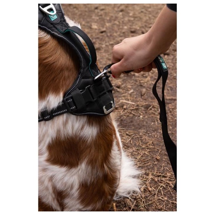 Harnais pour chien - SYMBIOZ - S - Noir / Bleu
