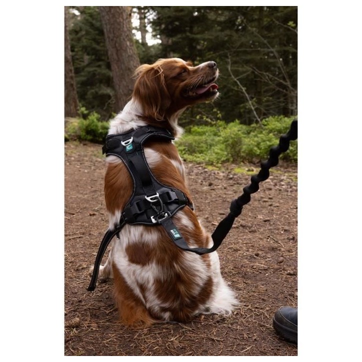 Harnais pour chien - SYMBIOZ - S - Noir / Bleu