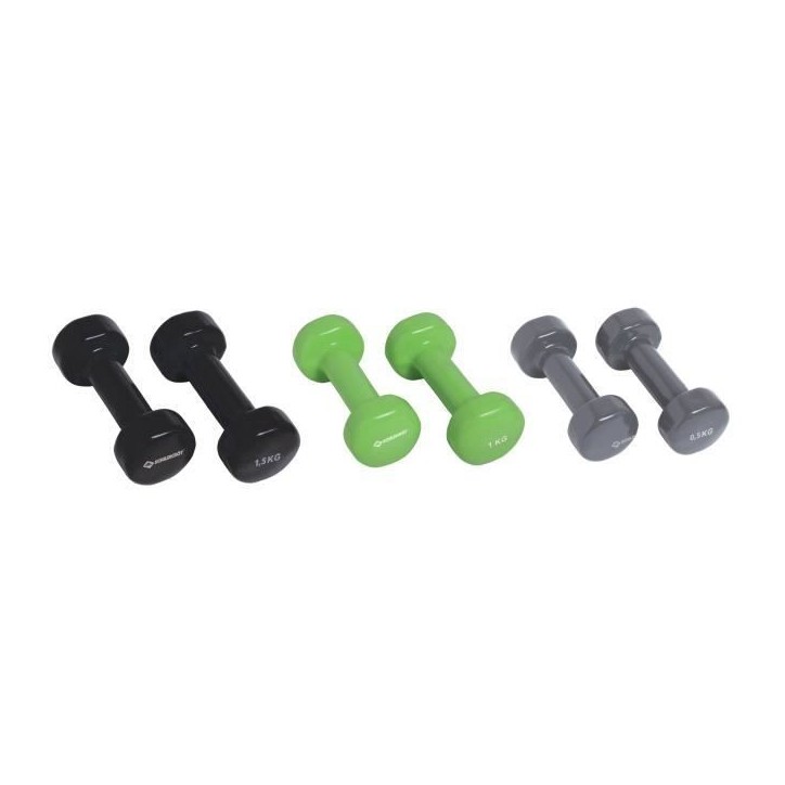 Set d'halteres - SCHILDKROT - 2 x 0,5kg anthracite - 2 x 1,0kg vert citron - 2 x 1,5kg noir - fonte + vinyle - Valise avec poig Set d'halteres - SCHILDKROT - 2 x 0,5kg anthracite - 2 x 1,0kg vert citron - 2 x 1,5kg noir - fonte + vinyle - Valise avec poig