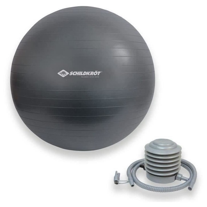 Ballon d'exercice - SCHILDKRÖT - Fitness et Yoga - Diametre 75 cm - Pompe incluse