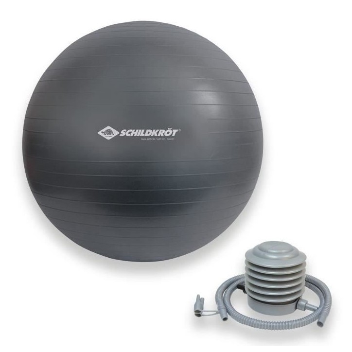 Ballon d'exercice - SCHILDKRÖT - Fitness et Yoga - Diametre 75 cm - Pompe incluse