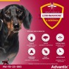 Advantix Chien Solution Antiparasitaire Puces Tiques Répulsif Mouches