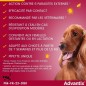 Advantix Chien Solution Antiparasitaire Puces Tiques Répulsif Mouches Moustiques Phlébotomes 1,5 a 4kg 4 pipettes