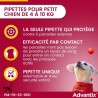 ADVANTIX Chien Solution Antiparasitaire Petite Race 4 a 10kg 4 pipette
