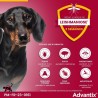 Advantix Chien Solution Antiparasitaire Petite Race 4 a 10kg 6 pipette