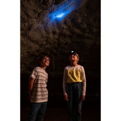 Lampe frontale - Theo Klein - Bosch - Pile - 2 modes - Portée 8m