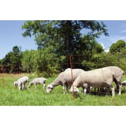 KERBL - Filet pour moutons OviNet électrifiable - Longueur 50 m - Hau