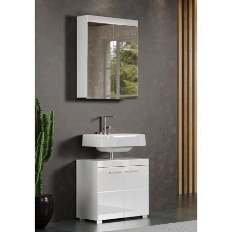 Meuble de salle de bain - Armoire de toilette - Miroir - 2 portes - Bl