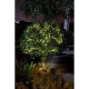 Guirlande solaire extérieure LUCIOLE 200 leds blanc chaud - SMART GAR