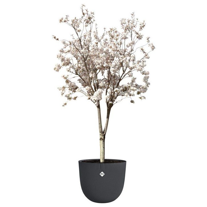 Pot de fleur rond - ELHO - Sereh Rond 60 - 110 L - Ø 59 x H 51 cm - Noir - Intérieur/extérieur Pot de fleur rond - ELHO - Sereh Rond 60 - 110 L - Ø 59 x H 51 cm - Noir - Intérieur/extérieur