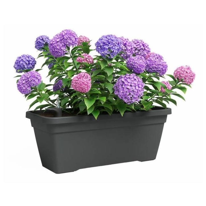 ARTEVASI Jardiniere - VENEZIA - Plastique - Anthracite - Rectangulaire - L77,9 x P24 x H22cm