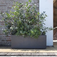 DEROMA Jardiniere Muret Millennium R - 99 x h39 cm - Anthracite - A r