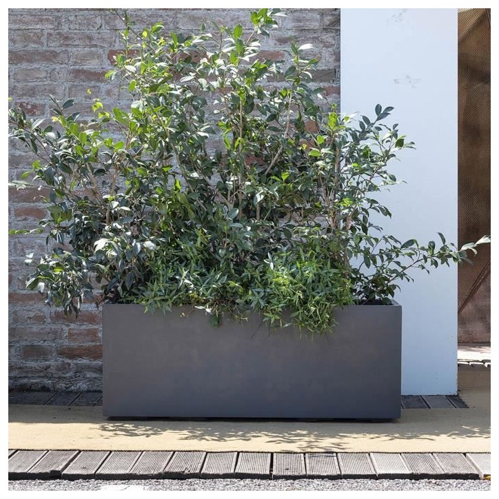 DEROMA Jardiniere Muret Millennium R - 99 x h39 cm - Anthracite - A réserve d'eau - Roulettes DEROMA Jardiniere Muret Millennium R - 99 x h39 cm - Anthracite - A réserve d'eau - Roulettes