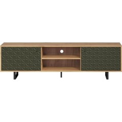 Meuble TV - SENTRA - 2 portes, 2 niches - Vert foncé - 184 x 40 x 52