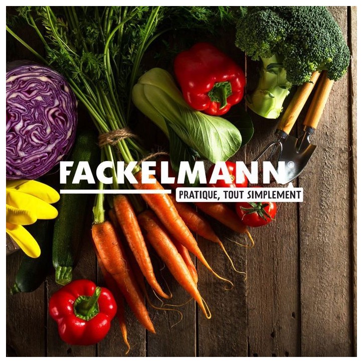 Lot de 2 boîtes de 250 rince doigts au citron - FACKELMANN Lot de 2 boîtes de 250 rince doigts au citron - FACKELMANN