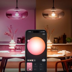 Kit de démarrage - Philips Hue - 1 Bridge - 2 ampoules A60 - Lumiere