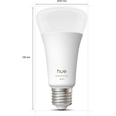 Ampoule LED connectée A67 - PHILIPS HUE - Lumiere blanche chaude - Cu