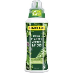 Engrais plantes vertes - ALGOFLASH - Plantes vertes & Ficus - 500 ml -