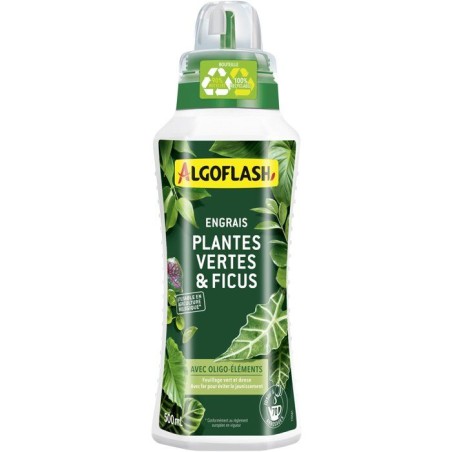 Engrais plantes vertes - ALGOFLASH - Plantes vertes & Ficus - 500 ml -