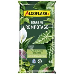 Terreau - ALGOFLASH - Rempotage, plantes vertes & plantes fleuries - 6