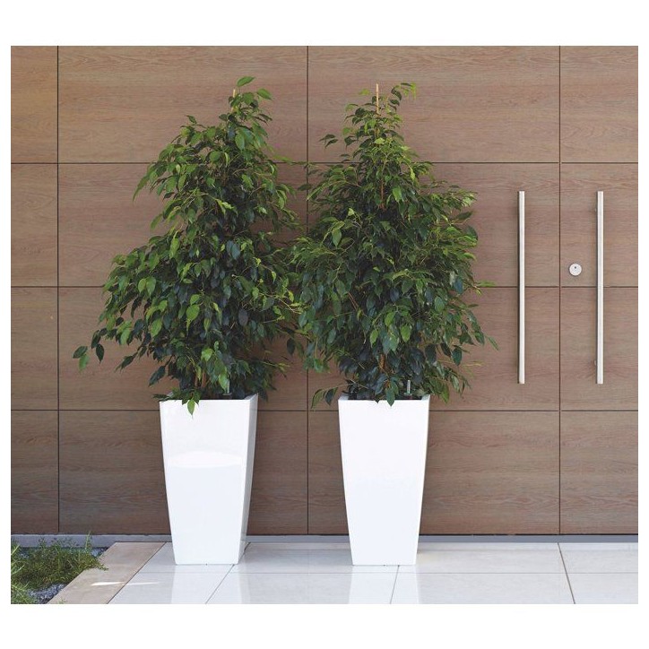 Pot de fleurs - ARTEVASI - Pisa SWS 78 BR - Intérieur/extérieur - Plastique - Ø40 x H78 cm - 79 L - Blanc