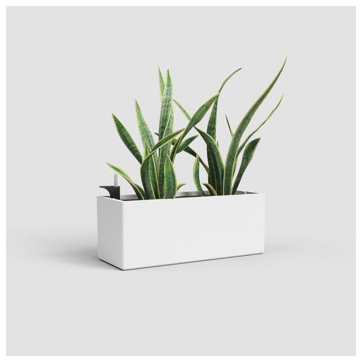 Jardiniere Rimini - ARTEVASI - 20 x 51 x H 20 cm - 17 L - Blanc Jardiniere Rimini - ARTEVASI - 20 x 51 x H 20 cm - 17 L - Blanc