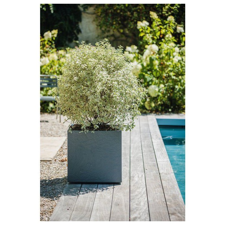 Pot de fleurs Carré 50 cm - EDA - Volcania - 57 L - Intérieur/Extérieur - Décor Pierre - 49,5 x 49,5 x H. 49,5 cm - Gris Ant Pot de fleurs Carré 50 cm - EDA - Volcania - 57 L - Intérieur/Extérieur - Décor Pierre - 49,5 x 49,5 x H. 49,5 cm - Gris Ant