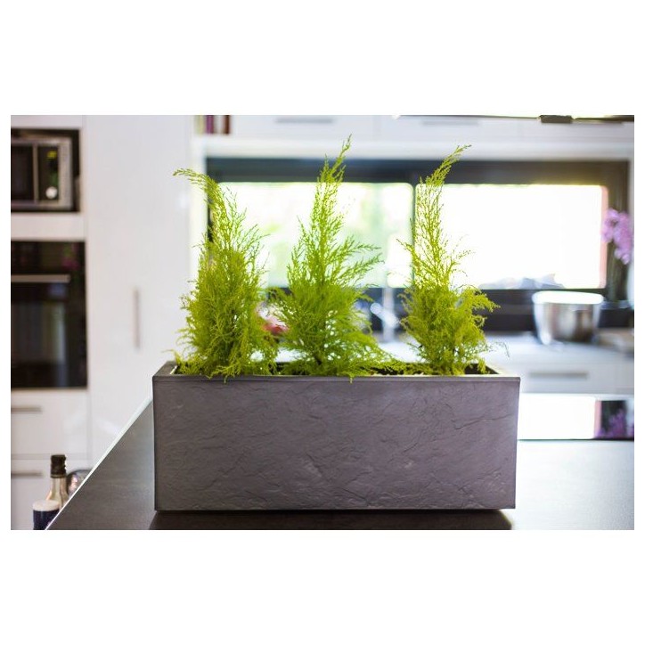 Balconniere - EDA - Volcania Up - 25 L - Intérieur/Extérieur - Décor Pierre - 59 x 19,5 x H. 22,8 cm - Gris Anthracite