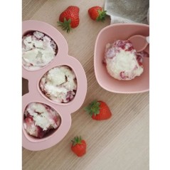 BEABA Multiportions en silicone de qualité premium, résistance therm