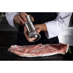 Moulin Sel-Poivre 2-en-1 - BISETTI - Dual Big Acryl - Inox