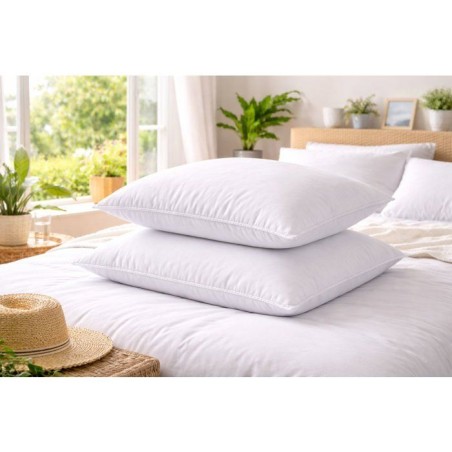 Lot de 2 Oreillers - BLANREVE - Spécial Transpiration - 60 x 60 cm - Blanc