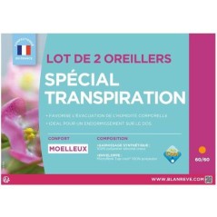 Lot de 2 Oreillers - BLANREVE - Spécial Transpiration - 60 x 60 cm -