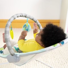 BRIGHT STARTS Transat bébé vibrant Wild Wonders- Arche avec jouets d