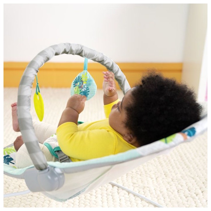 BRIGHT STARTS Transat bébé vibrant Wild Wonders- Arche avec jouets d'éveil amovible, Harnais 3 points BRIGHT STARTS Transat bébé vibrant Wild Wonders- Arche avec jouets d'éveil amovible, Harnais 3 points