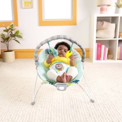 BRIGHT STARTS Transat bébé vibrant Wild Wonders- Arche avec jouets d