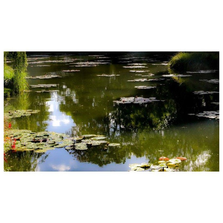 Clarifiant bassin - BSI - Aqua Clear 4 kg - Eau verte et trouble - Traitement intensif - Bassin & étang Clarifiant bassin - BSI - Aqua Clear 4 kg - Eau verte et trouble - Traitement intensif - Bassin & étang