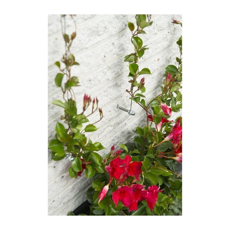 Treillis métallique - NATURE - Kit de palissage pour plantes grimpant Treillis métallique - NATURE - Kit de palissage pour plantes grimpant
