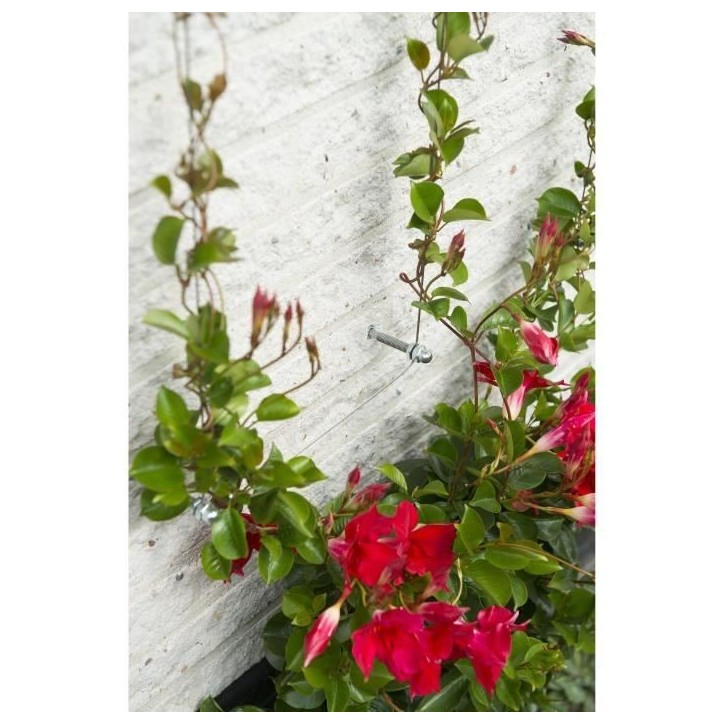 Treillis métallique - NATURE - Kit de palissage pour plantes grimpantes - fil de fer galvanisé Ø1,8 mm x 10 m Treillis métallique - NATURE - Kit de palissage pour plantes grimpantes - fil de fer galvanisé Ø1,8 mm x 10 m