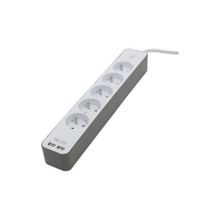 CHACON Bloc multiprise 5 prises 16 A avec 2 ports USB et câble 1,5 m HO5VV-F 3x1,5 mm² blanc et brun