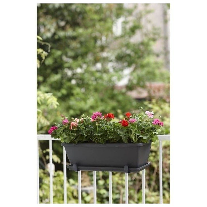 ELHO Soucoupe Barcelona Balconniere 50 - L16,7 x l45,5 x H3 cm - Anthracite - Plastique ELHO Soucoupe Barcelona Balconniere 50 - L16,7 x l45,5 x H3 cm - Anthracite - Plastique