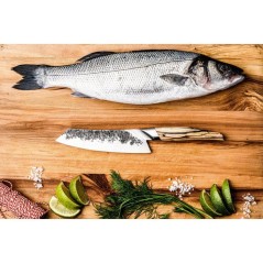 Couteau Santoku - FORGED - KATAI - Acier VG10 - Manche en bois de raci