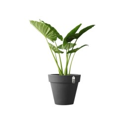 ELHO Pot de fleurs Rond Pure - Ø39 x 35,7 cm - Anthracite