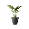 ELHO Pot de fleurs Rond Pure - Ø39 x 35,7 cm - Anthracite