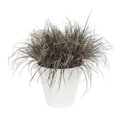 ELHO Pot de fleurs rond avec roues Loft Urban - Ø 38.5 x 35,3 cm - Bl