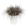 ELHO Pot de fleurs rond avec roues Loft Urban - Ø 38.5 x 35,3 cm - Bl