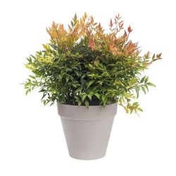 ELHO Pot de fleurs Rond Loft Urban - Ø 38,5 x H 35,3cm - Gris anthrac