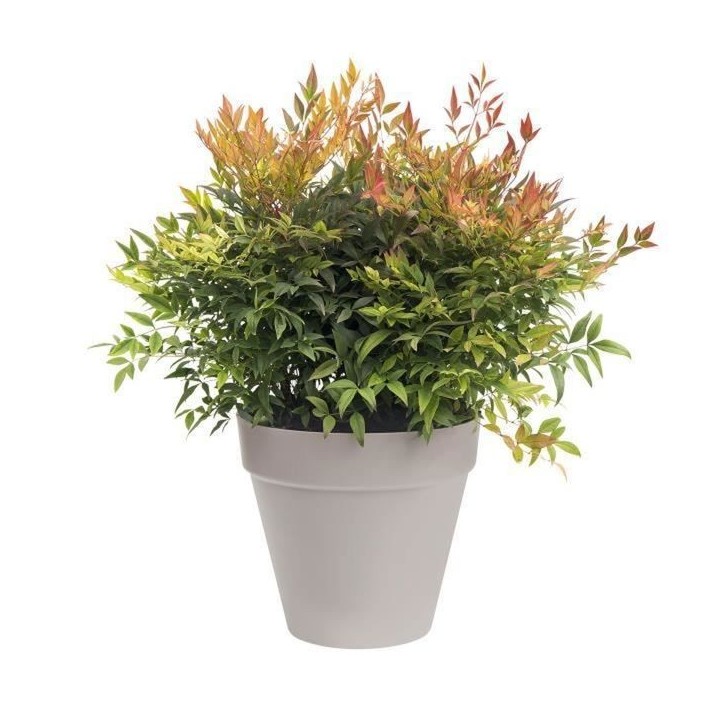 ELHO Pot de fleurs Rond Loft Urban - Ø 38,5 x H 35,3cm - Gris anthracite - Avec roues ELHO Pot de fleurs Rond Loft Urban - Ø 38,5 x H 35,3cm - Gris anthracite - Avec roues